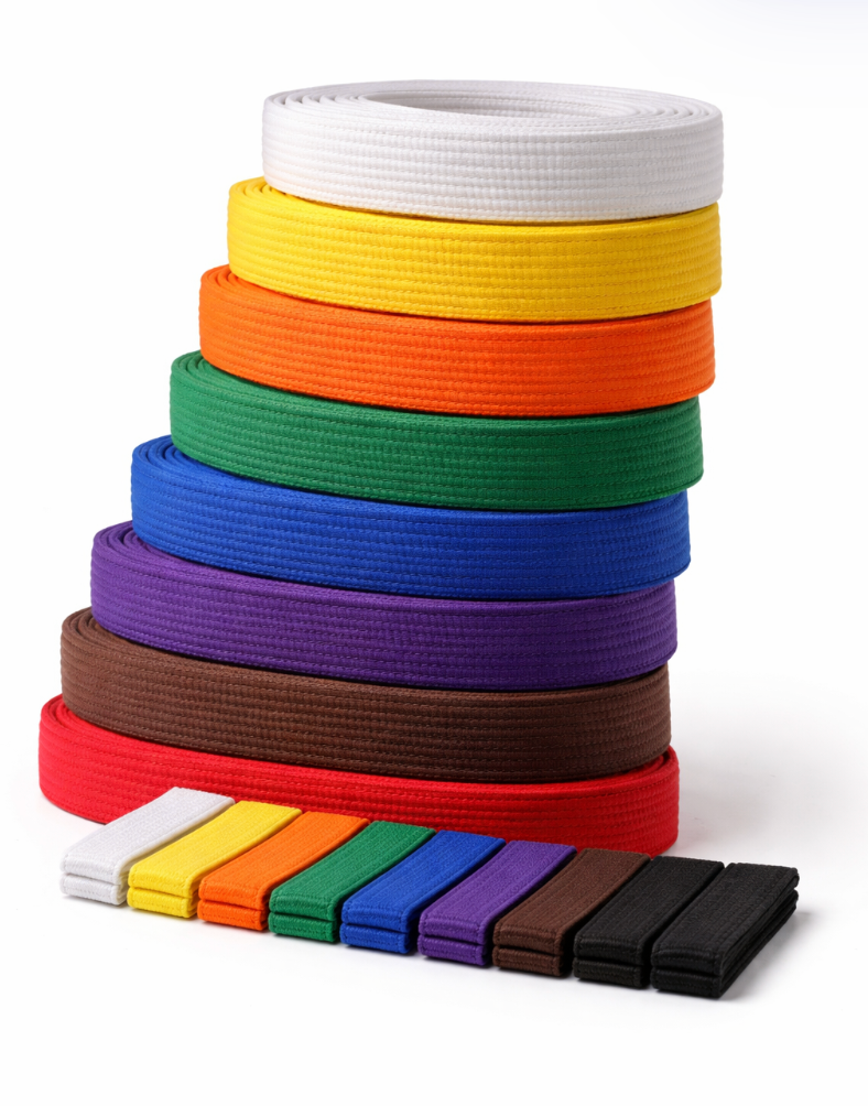 Coloured Taekwondo Belts β Progress with Pride